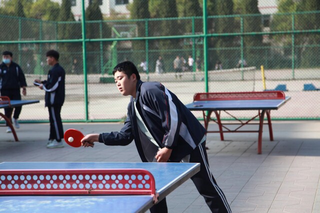 乒乓球3.jpg